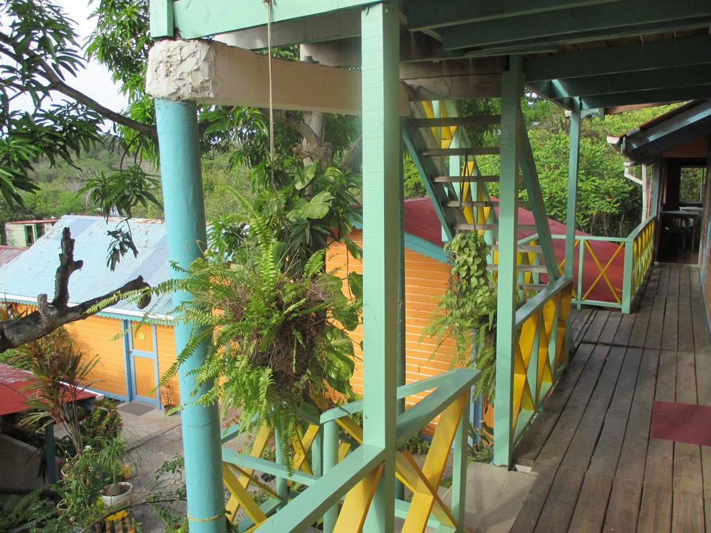 Hotel Flemming Tree Providencia Island Exterior photo
